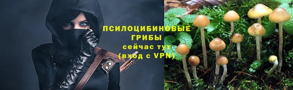 каннабис Арсеньев