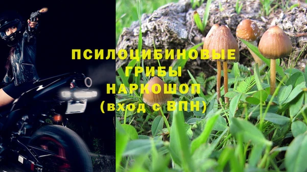 прущий лед Аркадак