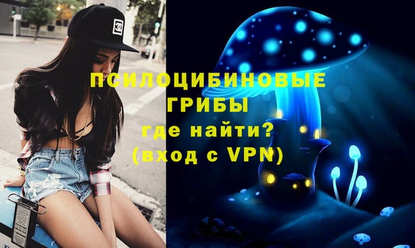 трава Магадан
