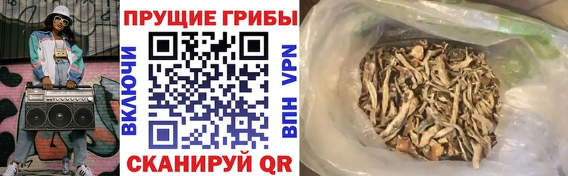 Псилоцибиновые грибы Magic Shrooms  кракен ТОР  это Telegram  Пыть-Ях 
